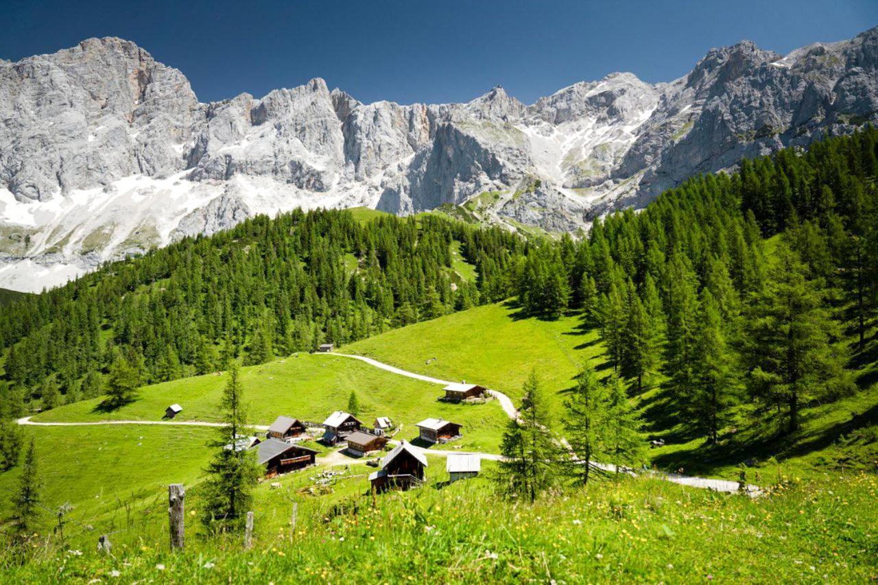 Apartman Ramsau Ramsau am Dachstein Dış mekan fotoğraf